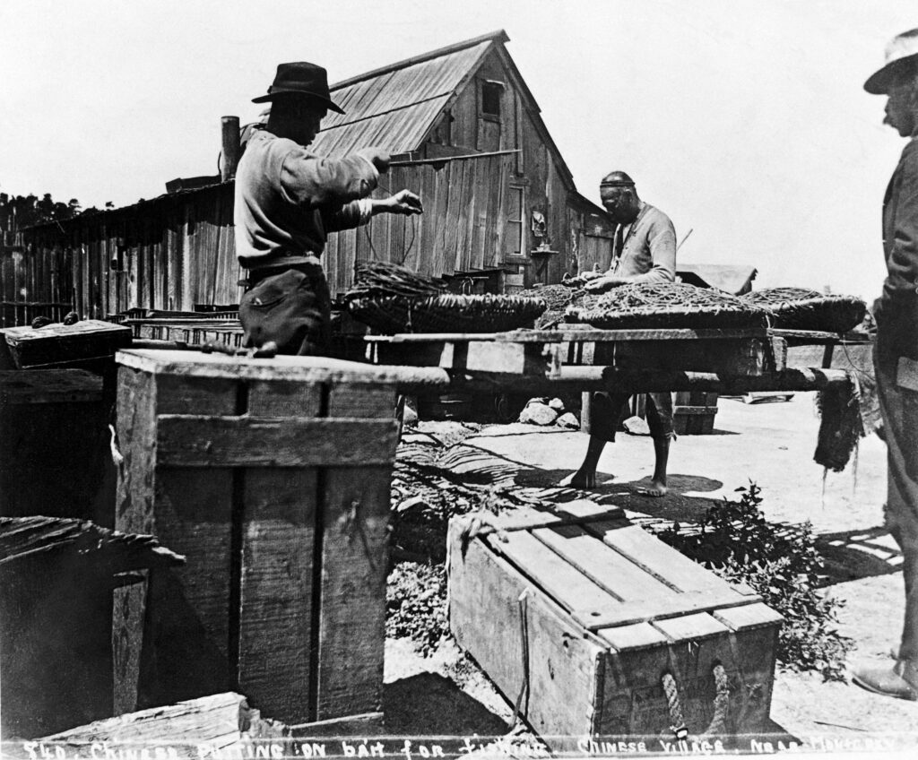 Two Chinese fishermen baiting trawl line hooks around 1890