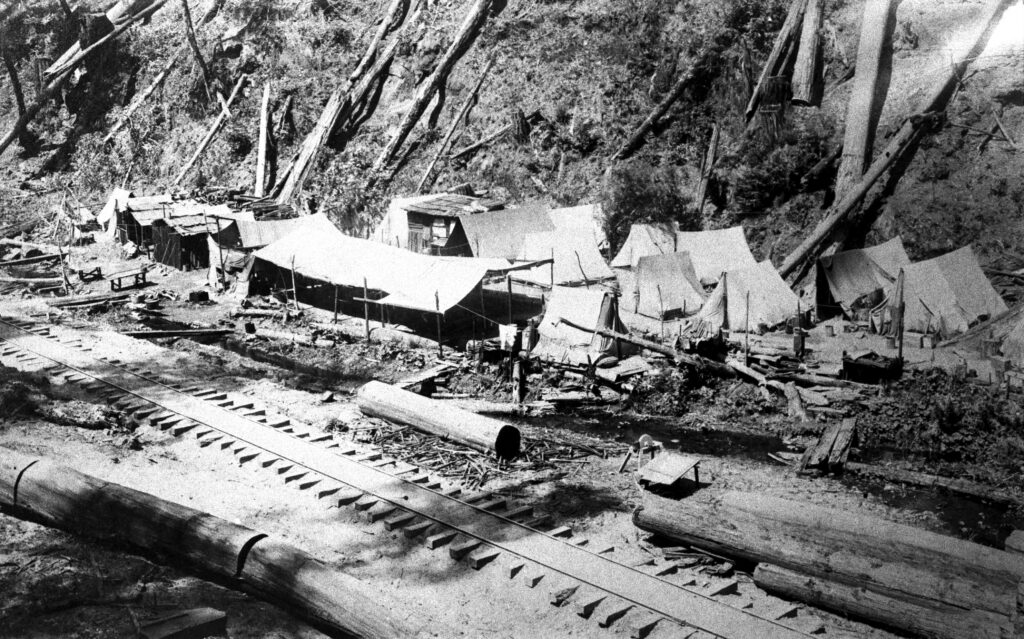 Tents for Chinese railroad workers in Aptos Canyon