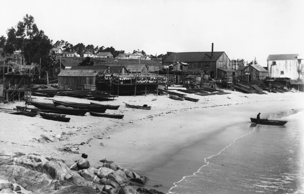 Squid boats at Point Alones fishing village around 1890